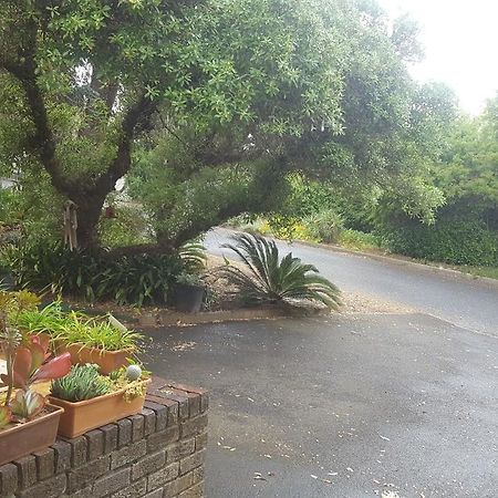 Pelikaan 9 Appartement Stellenbosch Buitenkant foto