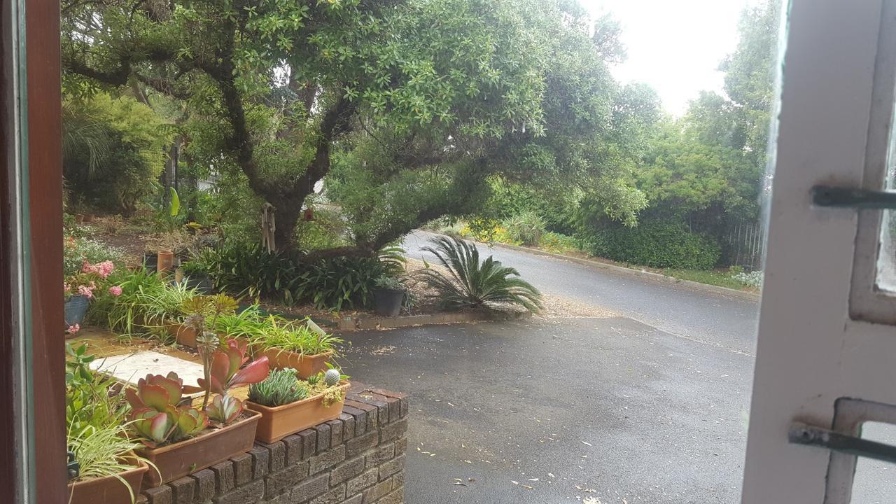 Pelikaan 9 Appartement Stellenbosch Buitenkant foto